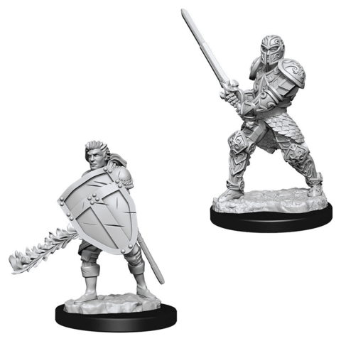 Human Male Fighter (W8)